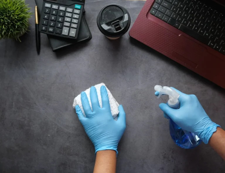 Eco Cleaning Service in Miami
