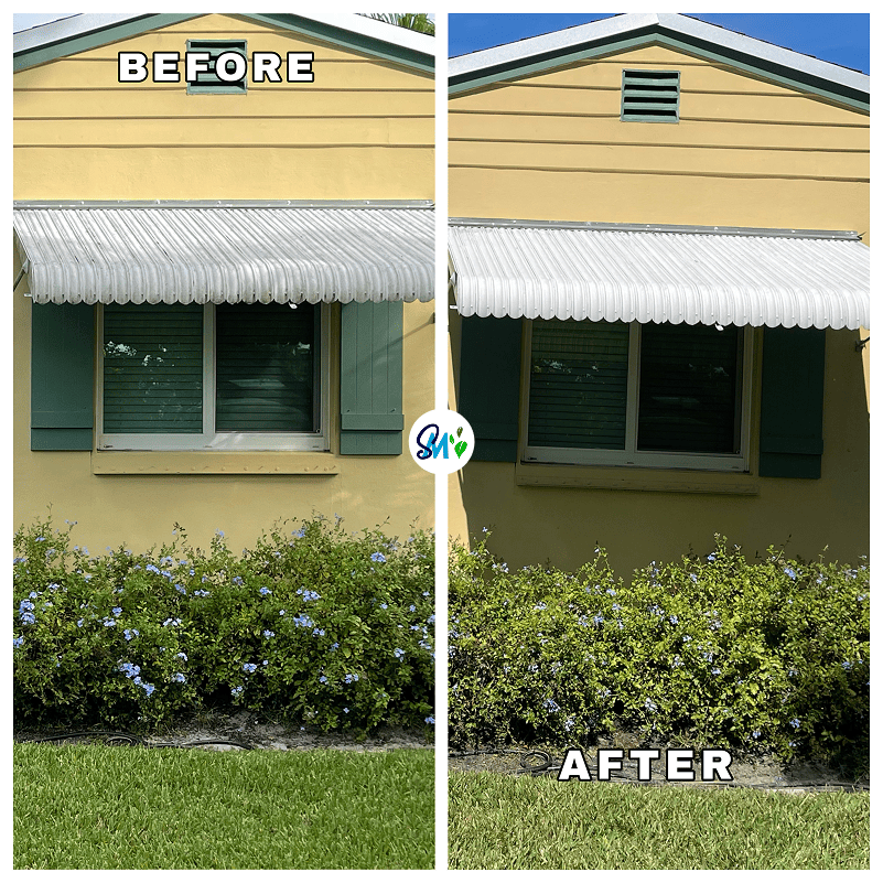 Eco Cleaning Service in Miami