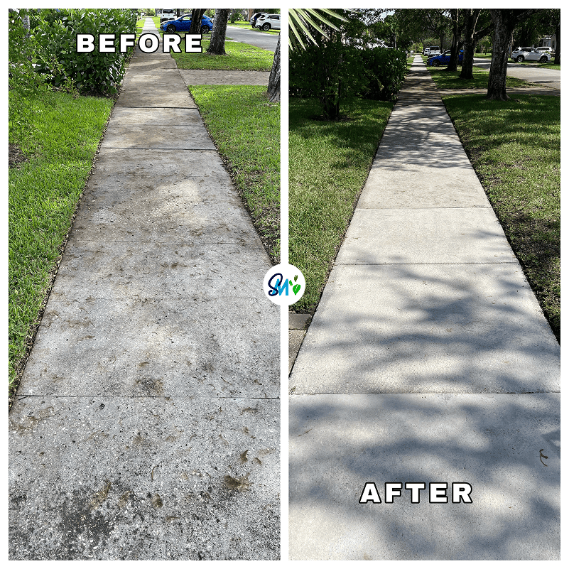 Eco Cleaning Service in Miami